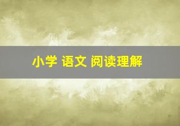 小学 语文 阅读理解